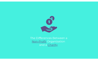 054230a6-1385-45db-9d3d-1d7ee7240c41 (1)